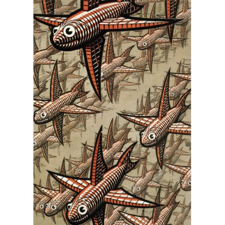 Poster Escher Art. 57 cm 50x50 Stampa Falsi d'Autore Affiche Plakat Fine Art