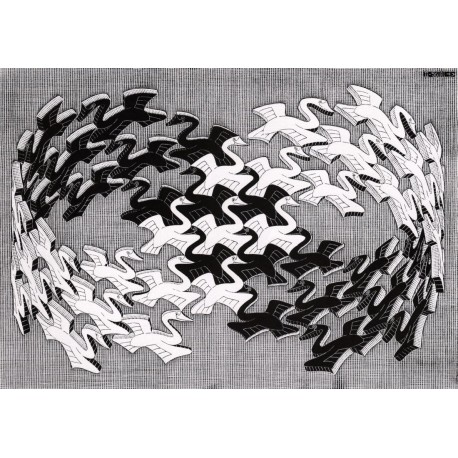 Poster Escher Art. 61 cm 50x50 Stampa Falsi d'Autore Affiche Plakat Fine Art