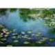 Poster Monet Art. 11 cm 35x50 Stampa Falsi d'Autore Affiche Plakat Fine Art