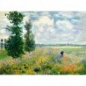 Poster Monet Art. 22 cm 70x70 Stampa Falsi d'Autore Affiche Plakat Fine Art